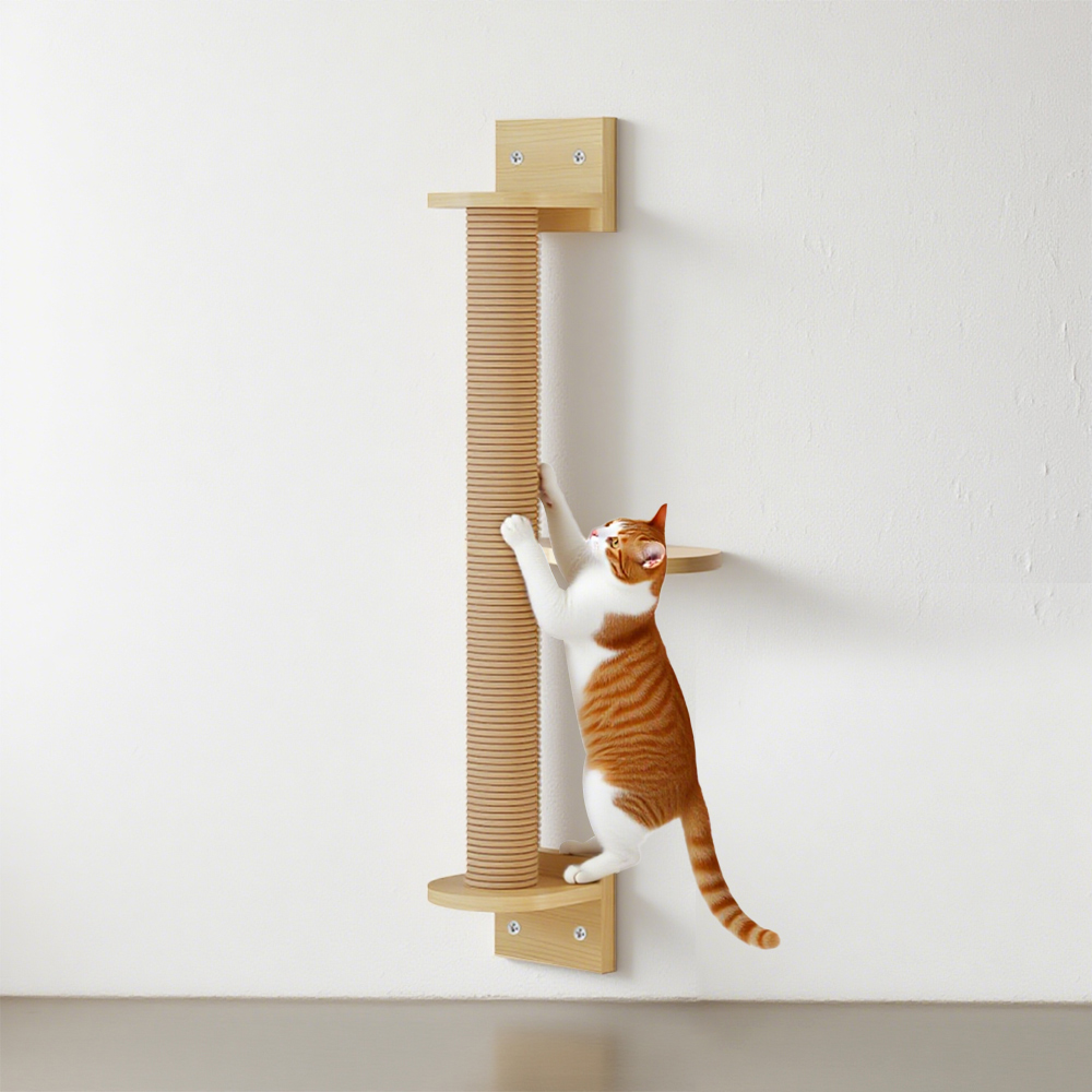 Cat Wall Grab Board Jumping Platform Khung leo núi treo Đồ chơi nội thất thú cưng trong nhà