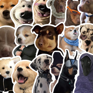 Bộ 50 Chó Dán Hoạt Hình Dán DIY Trang Trí Máy Tính Sổ Lưu Niệm Laptop Hành Lý Đàn Guitar Cốc Nước Vỏ Điện Thoại Miếng Dán Chống Thấm Nước