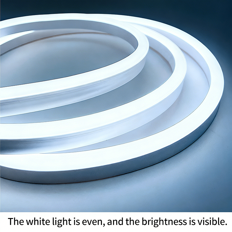 Đèn LED LED RGB Neon 220V linh hoạt, Ống ngoài trời chống nước, Xoay bóng vũ trường