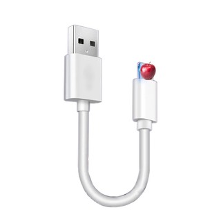 Dây Cáp Sạc USB Loại C 0.2m Cho iPhone Android