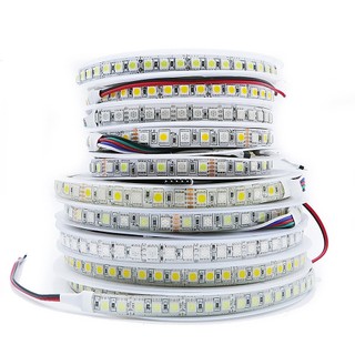 Cuộn dây đèn led 5m / cuộn dc 12v smd 5050 rgb 5050 ánh sáng trắng 120led