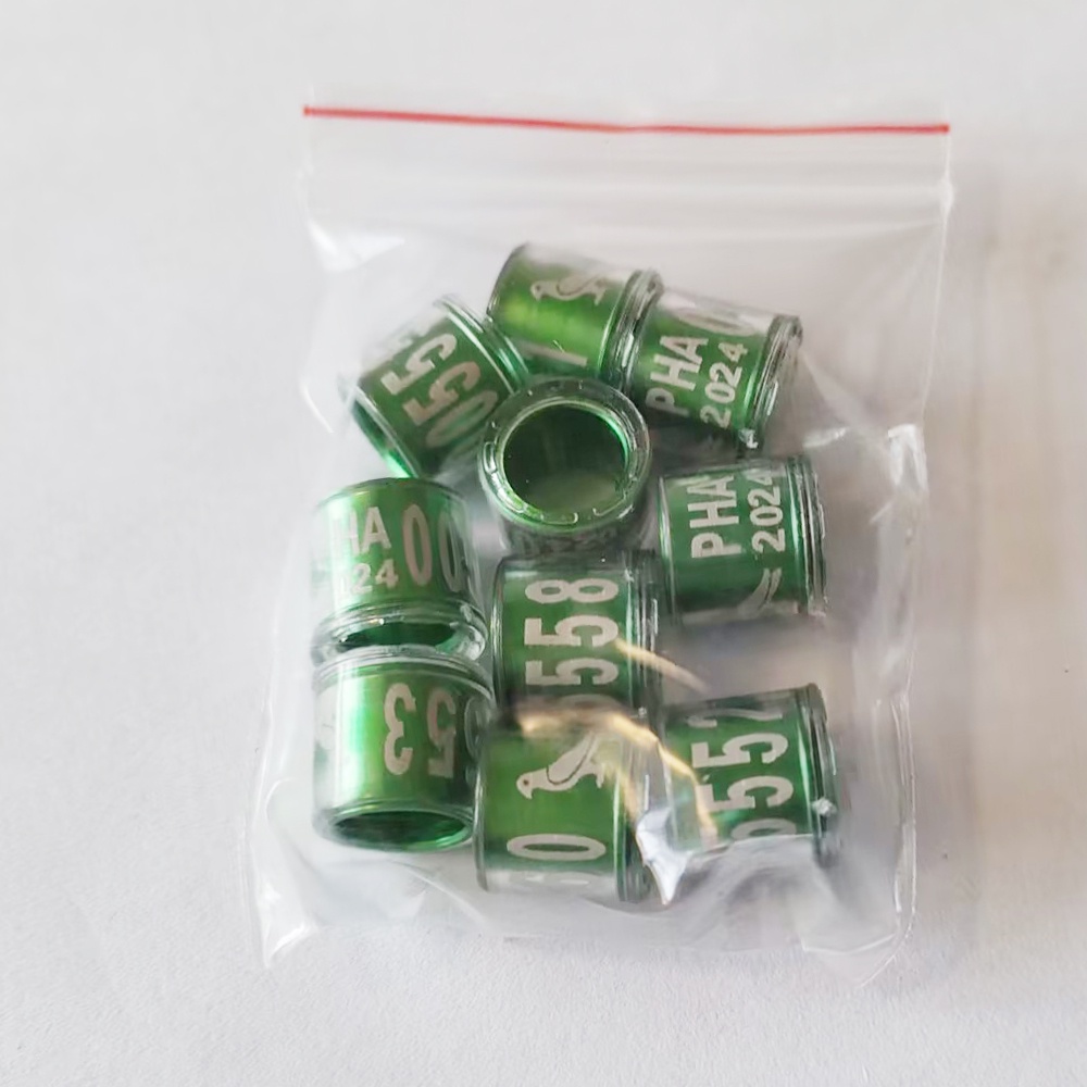 Set 50 / 30 / 10 Vòng Nhựa Trong Suốt Đeo Chân Hình Heo 2024