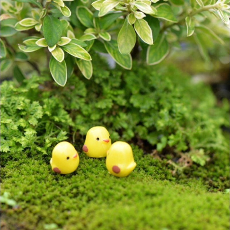 Mô hình 3 gà con mini-terrarium