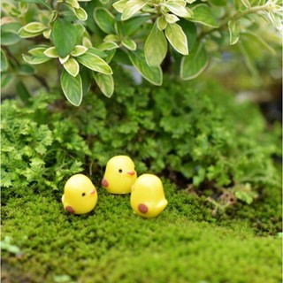 Mô hình gà con mini-terrarium
