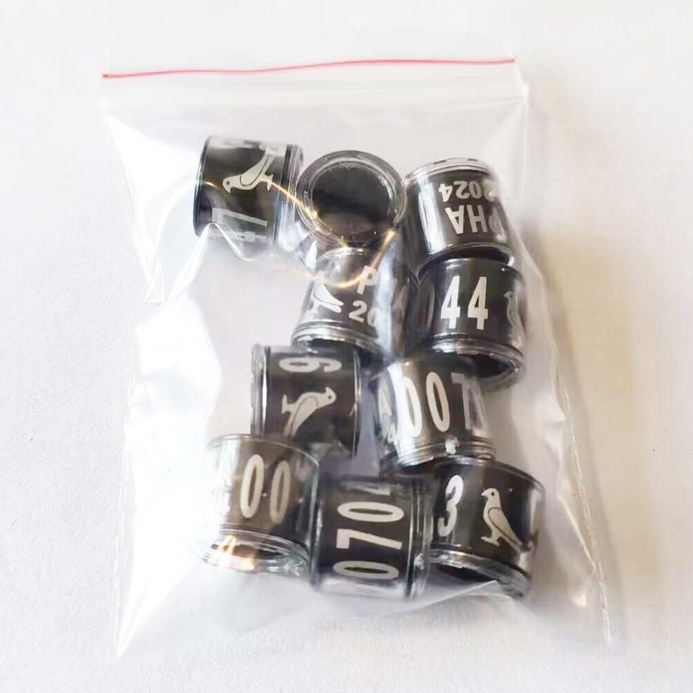 Set 50 / 30 / 10 Vòng Nhựa Trong Suốt Đeo Chân Hình Heo 2024