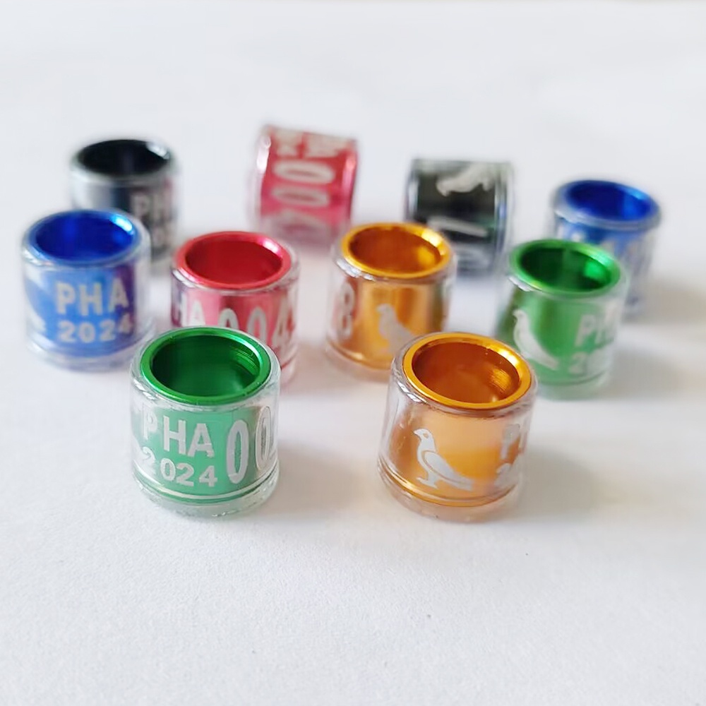 Set 50 / 30 / 10 Vòng Nhựa Trong Suốt Đeo Chân Hình Heo 2024