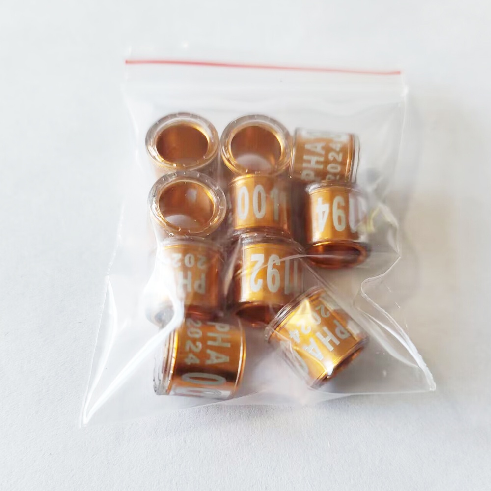 Set 50 / 30 / 10 Vòng Nhựa Trong Suốt Đeo Chân Hình Heo 2024