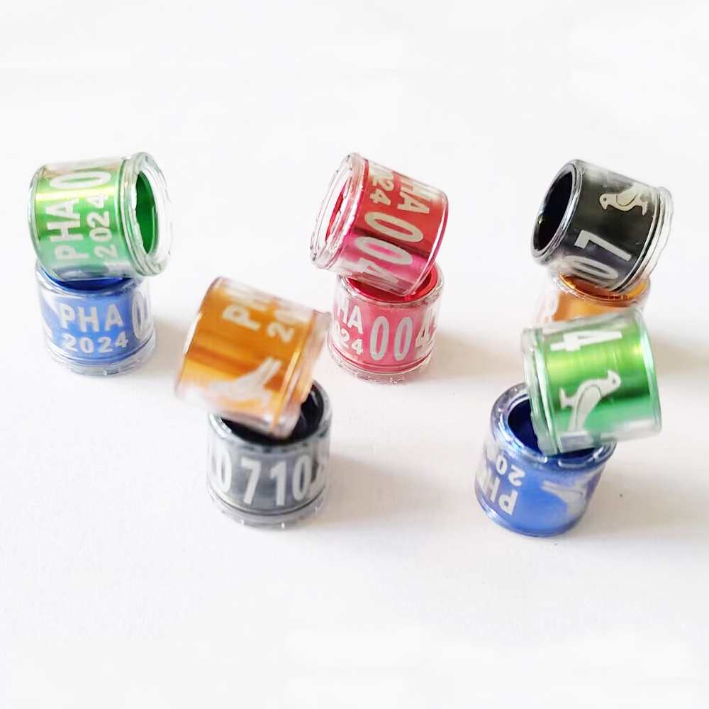 Set 50 / 30 / 10 Vòng Nhựa Trong Suốt Đeo Chân Hình Heo 2024