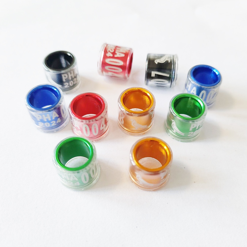 Set 50 / 30 / 10 Vòng Nhựa Trong Suốt Đeo Chân Hình Heo 2024