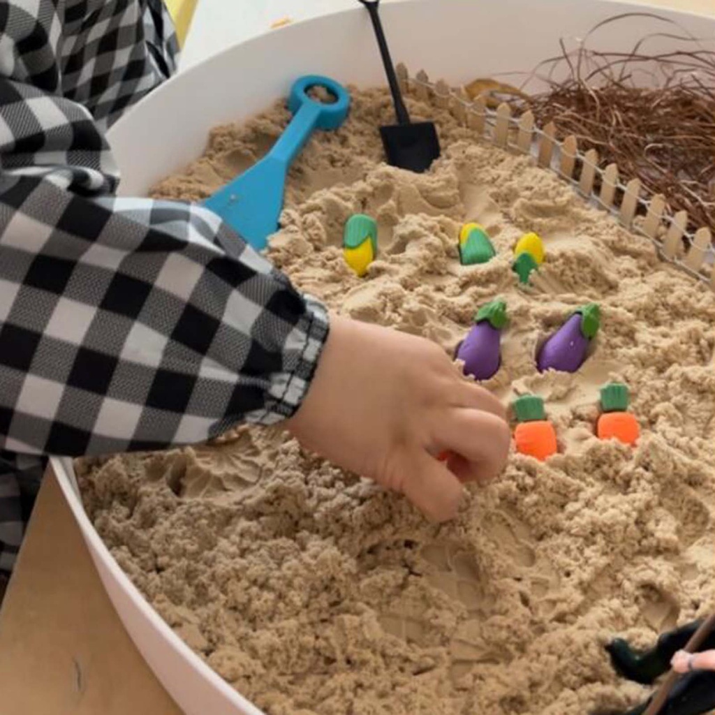 Đồ Chơi Bàn Cát Montessori Cho Trẻ Mẫu Giáo / Đi Du Lịch
