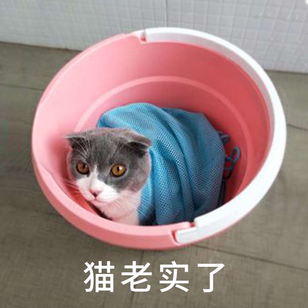 Túi Rửa Mặt Hình Mèo Dễ Thương Tiện Dụng