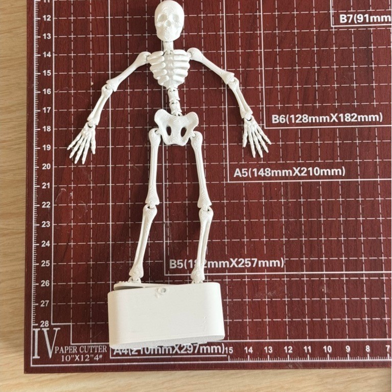 Bộ xương giả từ 3dprint với oxy trong bể cá