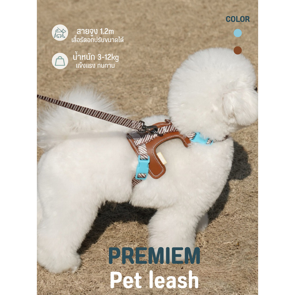 Dây nịt mèo petcare có dây xích Pet 3-12kg