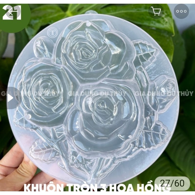 6 Khuôn Thạch Nhựa Size 1 Pound