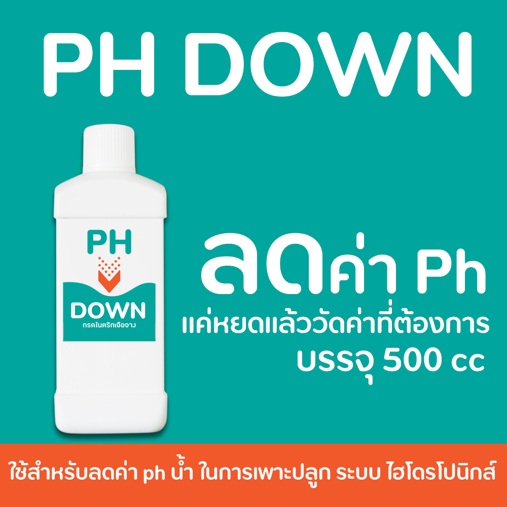 Ph Down Size (500 ml) Giảm Nước ph.