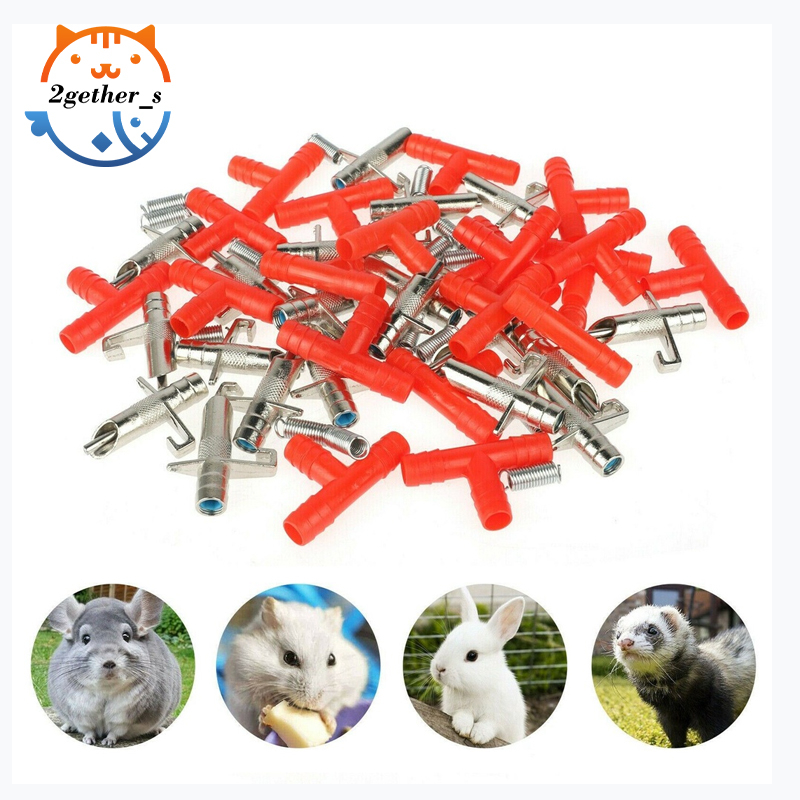 Máy phân phối nước thỏ 2gether Chim chuột tự động
