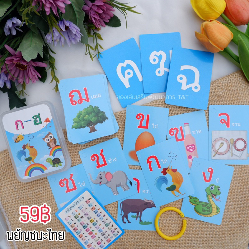 Thai Consonant A-H / Photo Sheet A.chicken / Flashcard Kok /