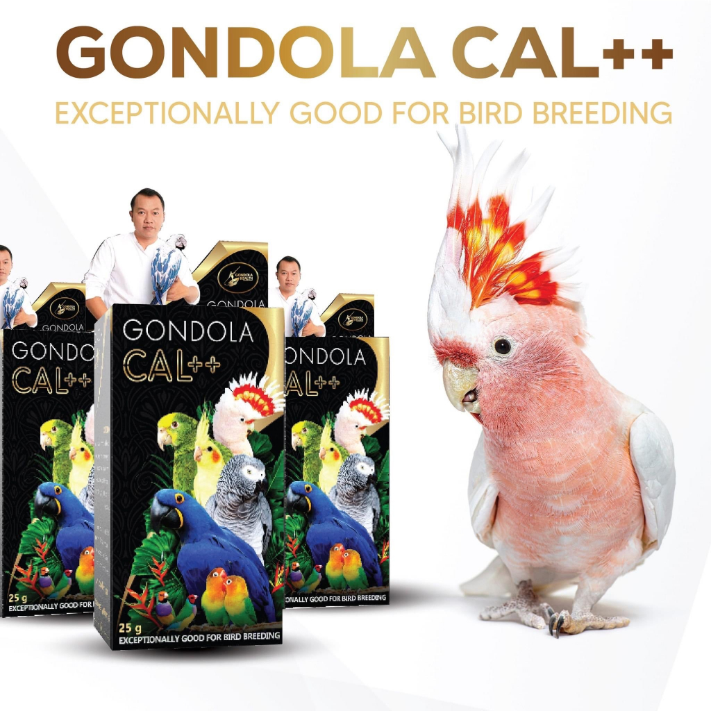 Gondola Canxi Bird Enzyme giúp tiêu hóa cho tất cả các loài chim
