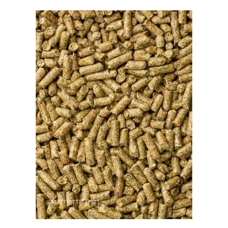 MAZURI GUINEA PIG DIET 🐶 FREE SHIP 🐶 Nén cho bọ ú 2.25kg Nhập khẩu USA