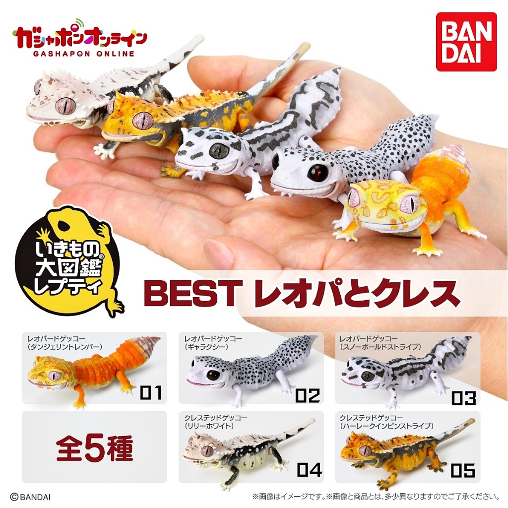 Gashapon Bandai Ikimono Bách khoa toàn thư BEST Leopard Crested Gecko Mini