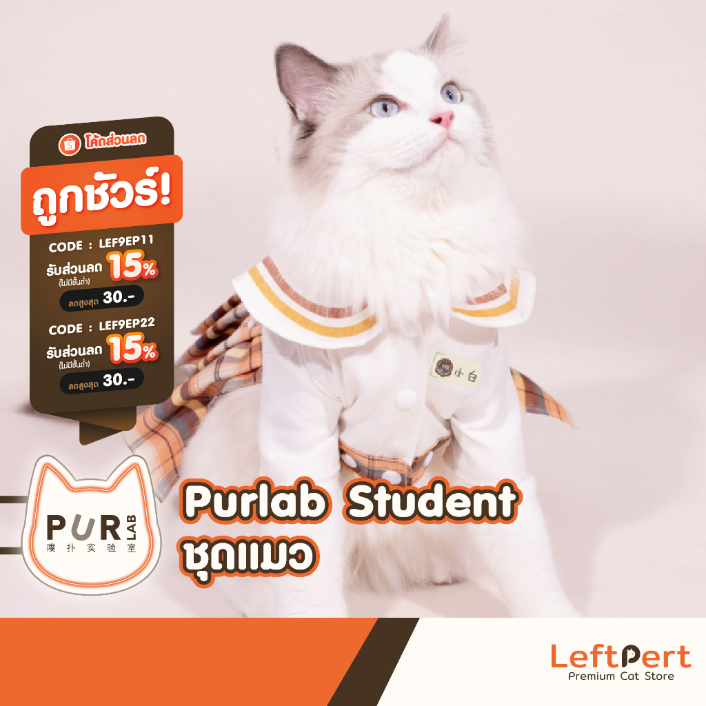 Áo sơ mi mèo Purlab x Angle Share