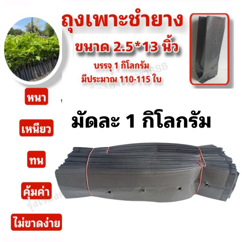 Túi cắt cao su và vườn ươm thực vật Kích thước 2x13 inch và 2,5x13 được bán theo kg.