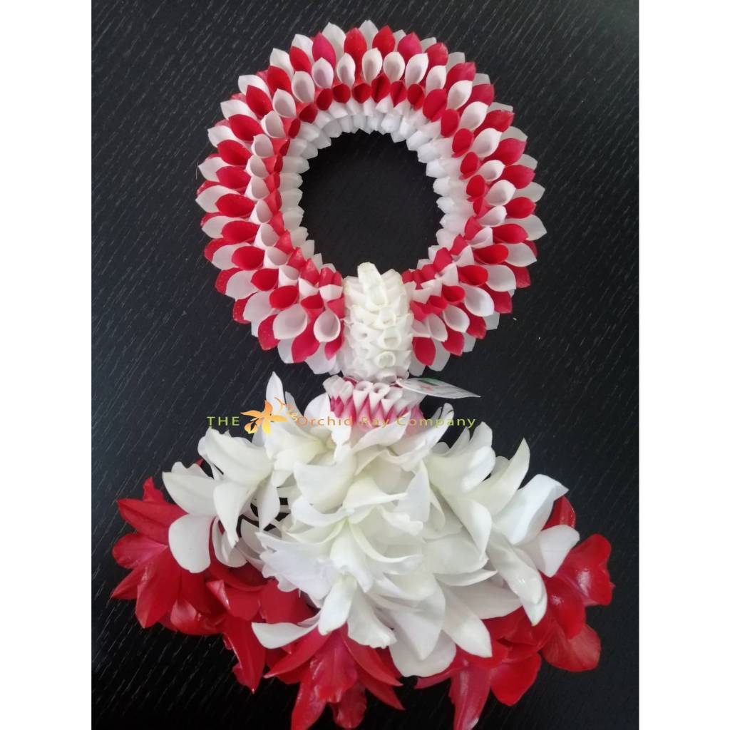 Sơn xịt Orchid Garland