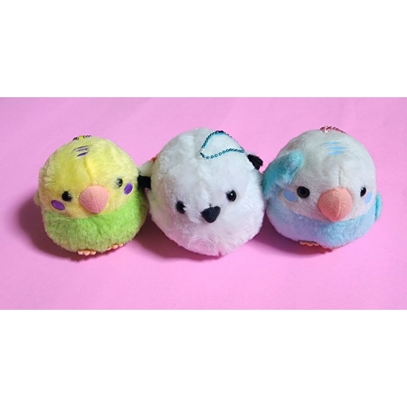 Chim búp bê Amuse từ Nhật Bản