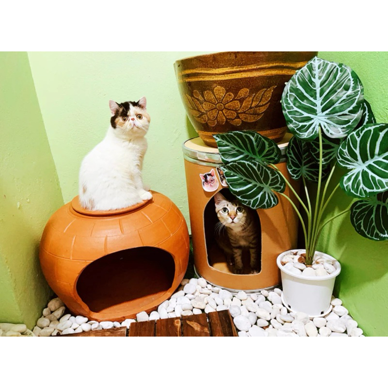 Cat House Little Dog Children Love It Very Warm.