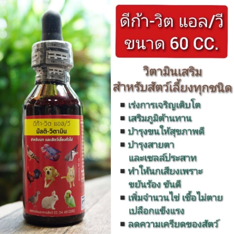 Dica-Vit L / V (60cc.) Vitamin Chăm Sóc Cơ Thể Tất Cả Các Loại Thú Cưng