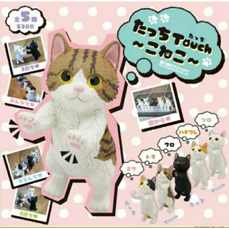 Bộ sưu tập hình mèo con Touch Koneko