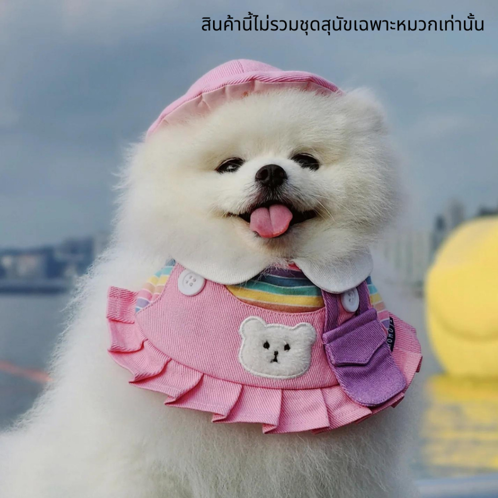 Momoji Pet Hat-Bear Collection Dog Cat