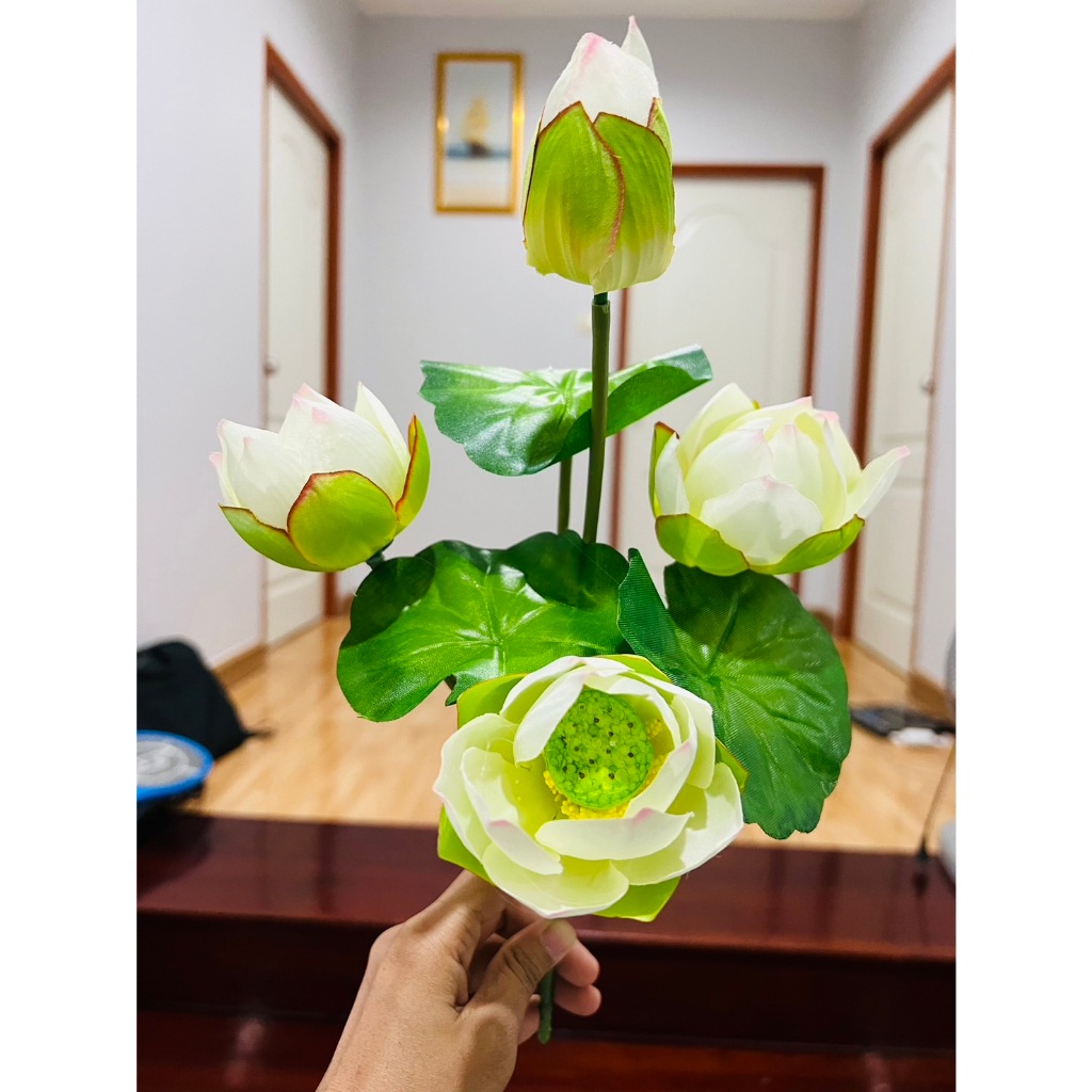 Sen (Hoa Sen Trắng 1 Bó Hoa Có 7 Thân 1 Bud 3 Lá 3 Bó Lớn) Một Bình Đẹp.