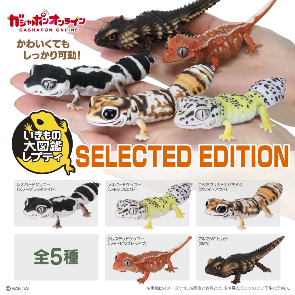 Gachapon Model Leopard Gecko-Fat Tail Branch-Rare There Is A bandai Ikimono Cover.