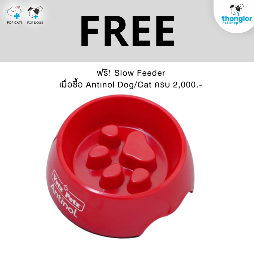(Quà tặng miễn phí) Bát đựng thức ăn Antinol