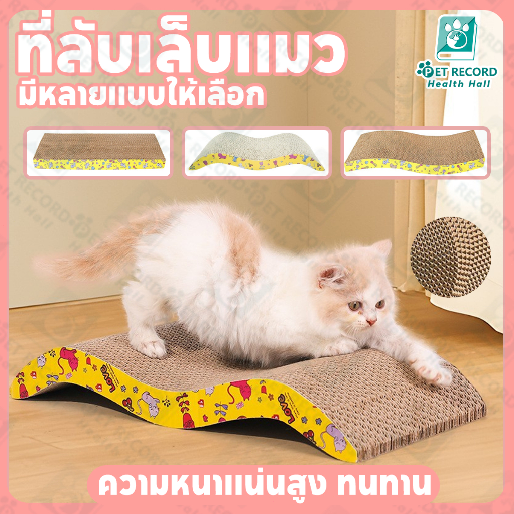 Cat Scratching Board Condo Paper House Đồ chơi giường