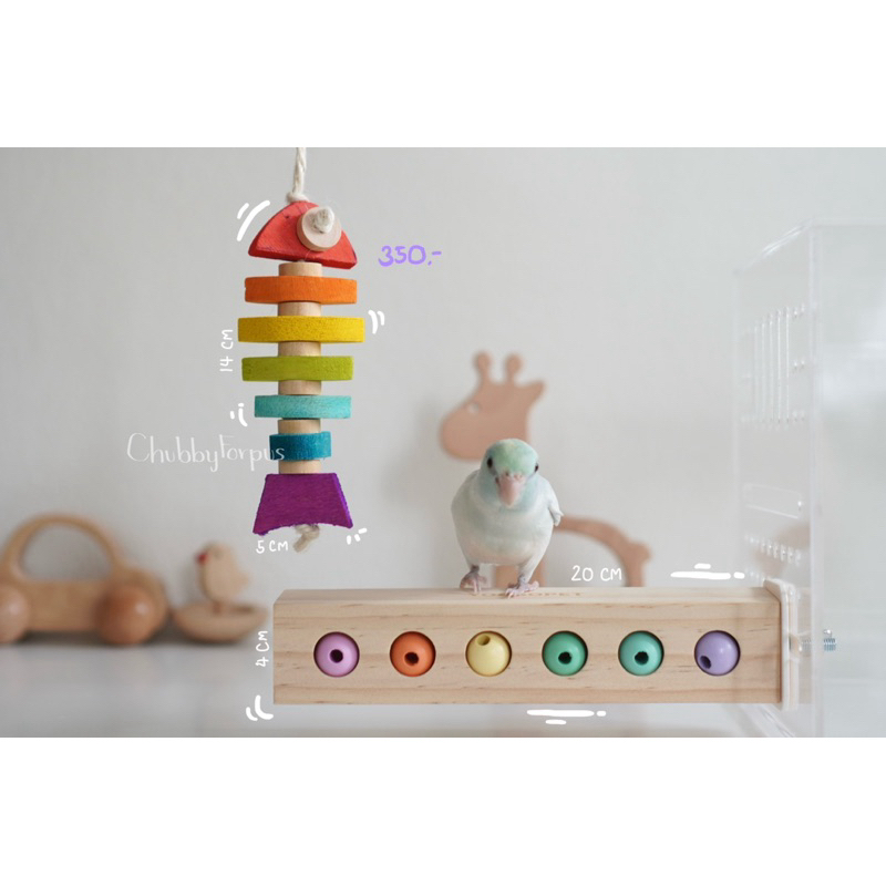 Add-on + Pastel Bead Concert Đồ chơi chim và cá đóng hộp