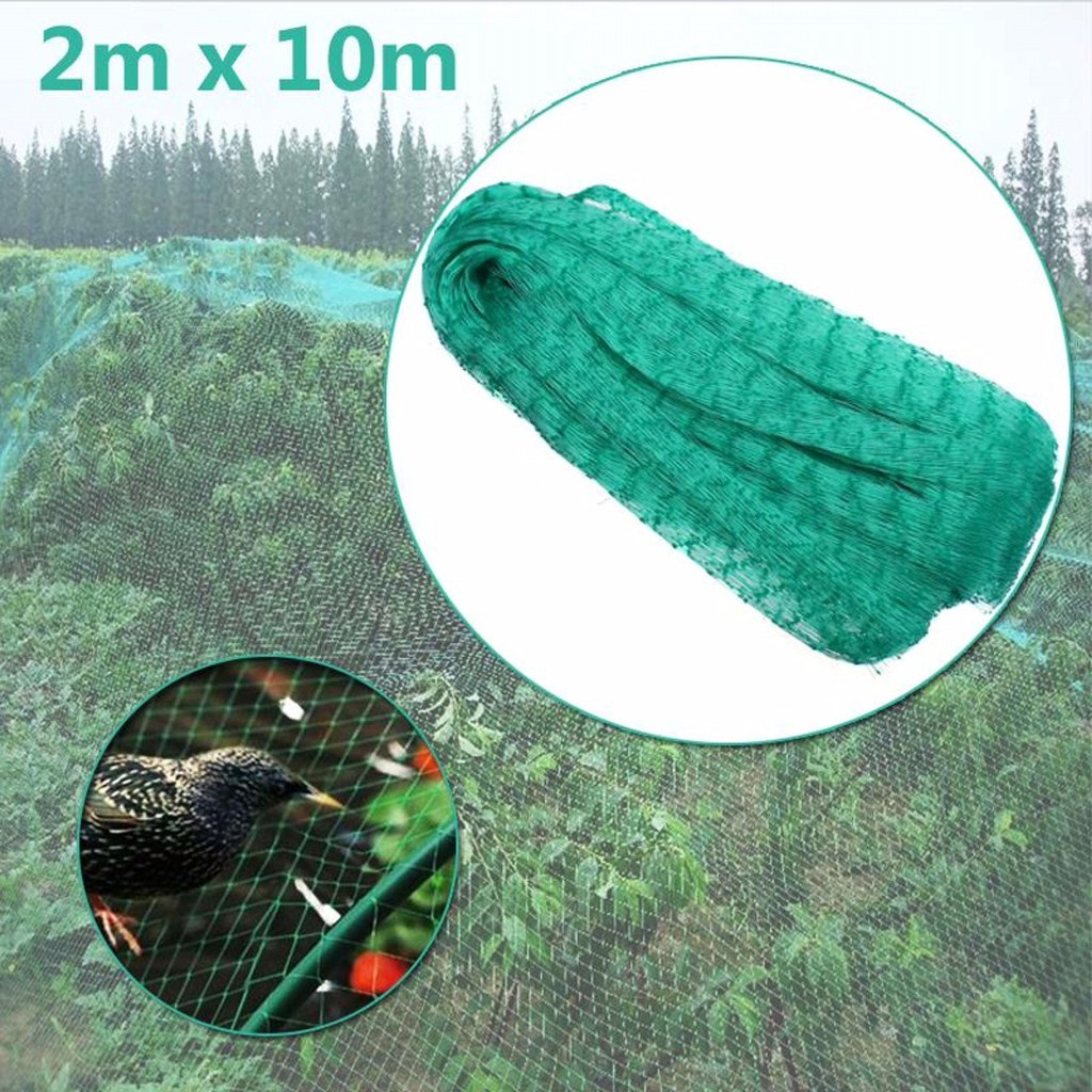 Lưới Nylon 50m Gà 6 * 6cm Lưới hàng rào