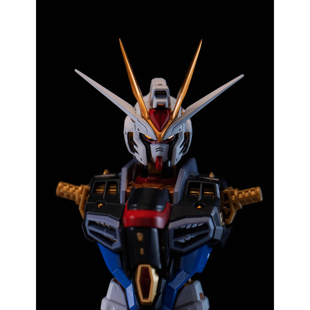 Minerval Hobby MG MB MC 8802 MGEX 1 / 100 Head Strike Freedom Only Mochin Can Be Assembled As A keyc