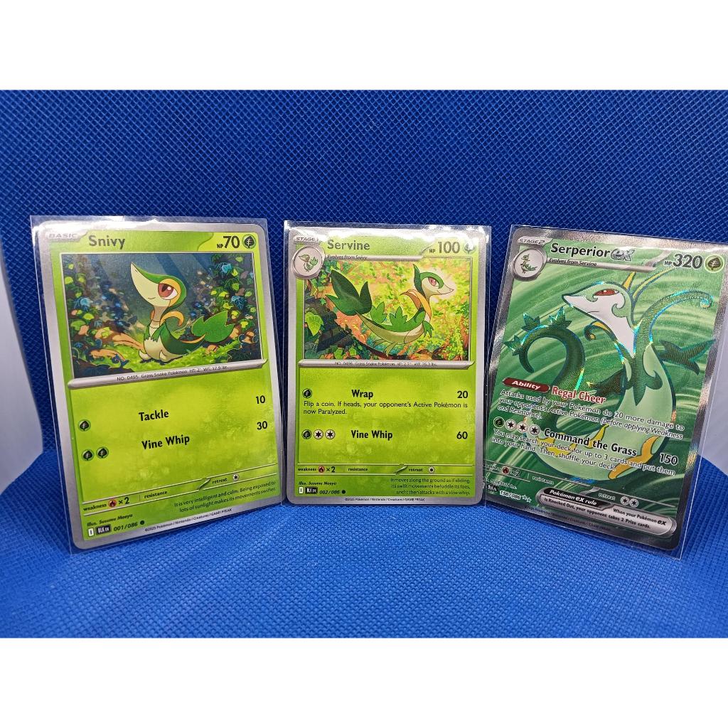 Bộ Snivy 495-497 Tổng cộng 3 miếng-Bl EN-MIX of-495-497-ENG