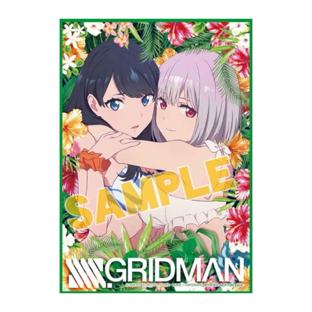 Rikka & Akane Fabric-Gridman [SSSS.GRIDMAN Bonus Áp phích vải đặc biệt A4 Size-Swimsuit Ver.]