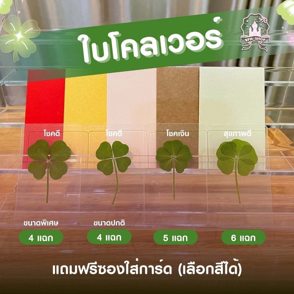 Clover Leaf Real 3 / 4 / 5 / 6 Biểu tượng của Móc khóa may mắn