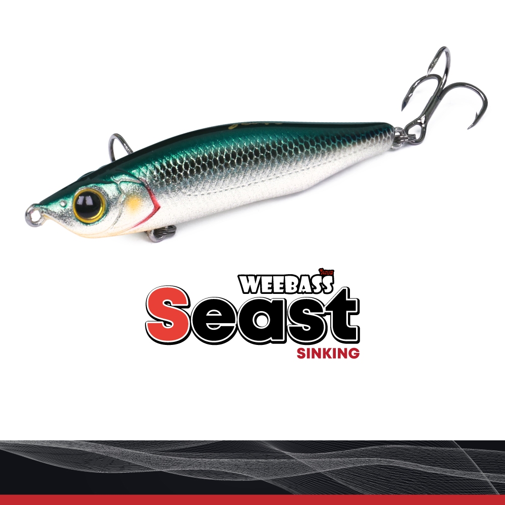 EAST (Chìm) 70mm / 11.6g 85mm / 18g 95mm / 26g: Weebass Bộ ổn định chìm câu cá Sea Bass