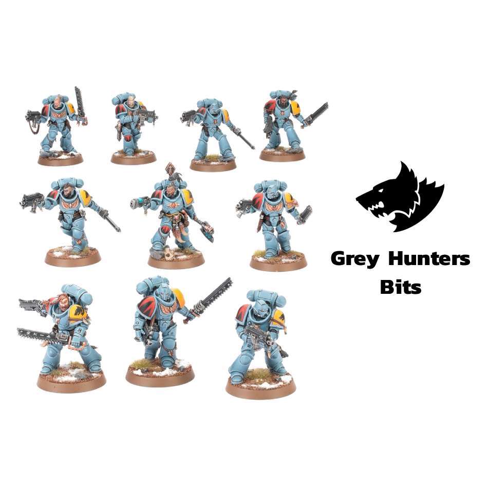 Grey Hunters Bits Warhammer 40K Space Wolves Marine Phụ tùng