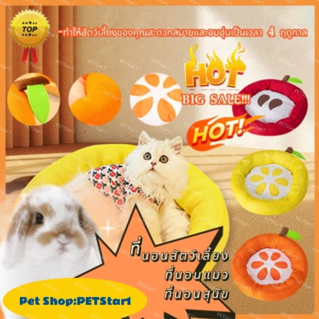 Kích thước giường cho thú cưng Sml Sofa Cat Dog House