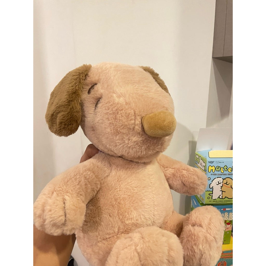 Snoopy 12 Inch Nâu miniso Authentic