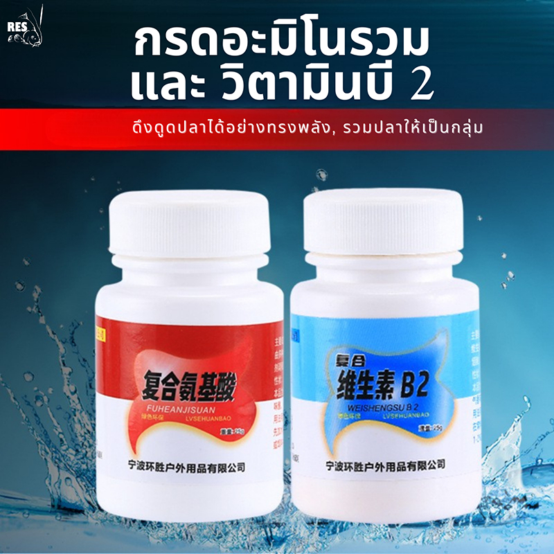 Bột Mồi Câu Cá B2 Hỗn Hợp Axit Amino Cá Starter