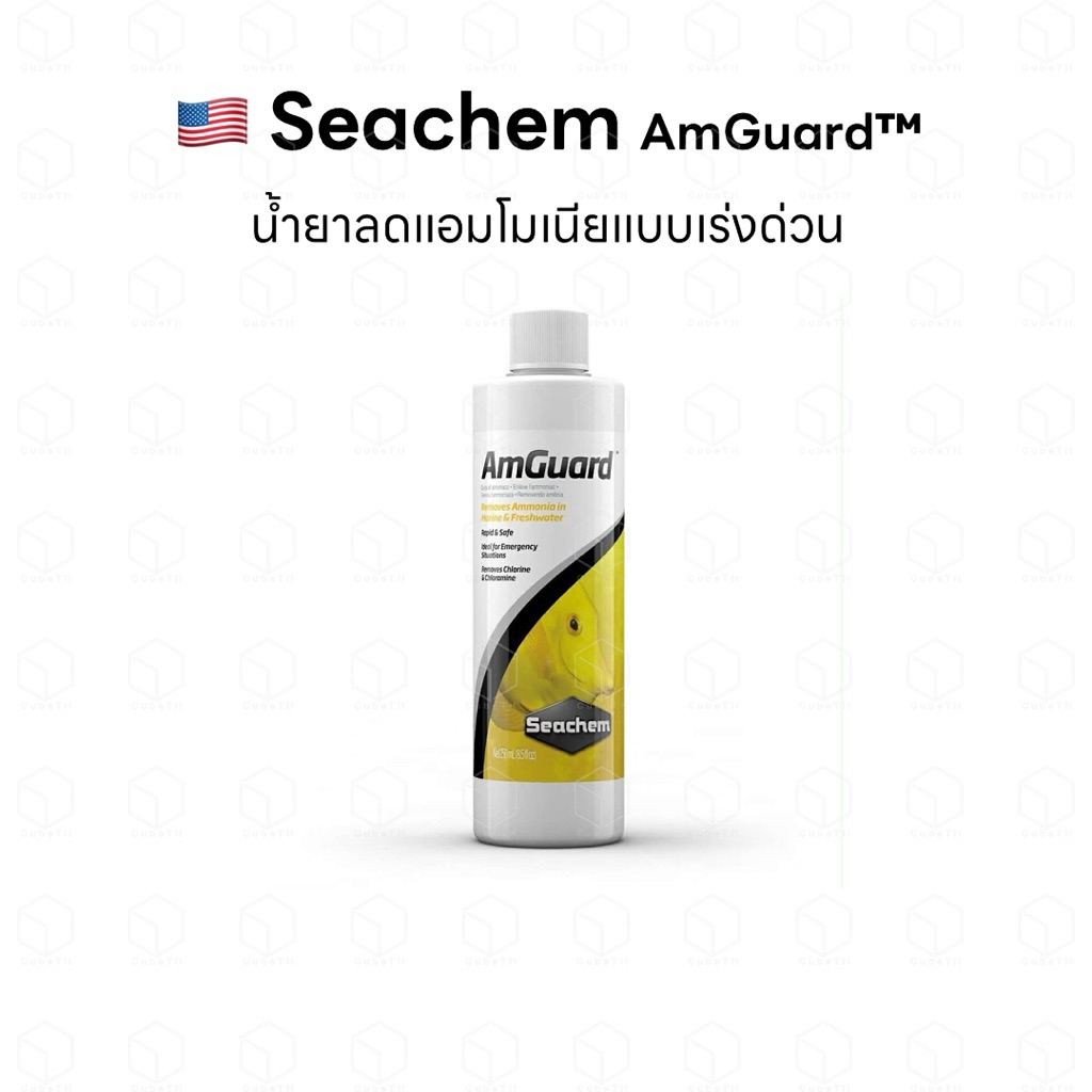 Giảm tốc Amoniac khẩn cấp Seachem AmGuard trong vòng 72 giờ.