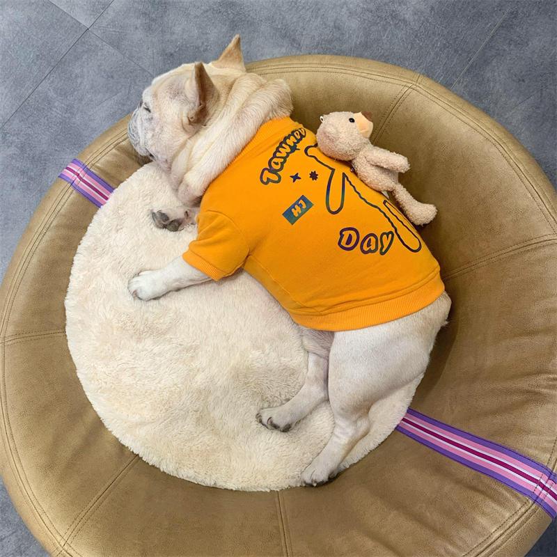 Áo Thu Đông Bằng Vải Nhung Dày Dặn Giữ Ấm In Họa Tiết Chó Bull Pháp Dành Cho Cún Cưng