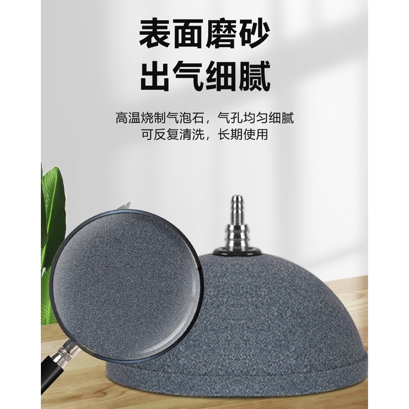 Dụng Cụ Bơm Oxy Loại Bánh Mì Tinh Tế Có Thể Tái Sử Dụng